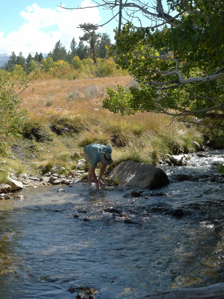 California-Fall2010 602.JPG